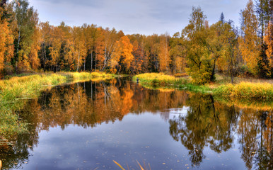 Fototapeta na wymiar Panoramiczne krajobraz z jeziora lasu jesienią