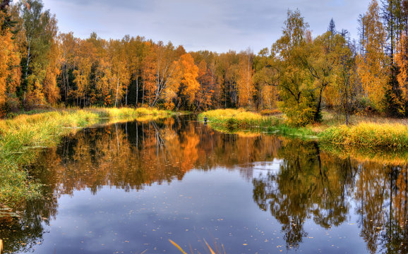 Panoramic landscape with forest lake in autumn