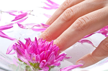 Fototapeta premium manicre treatment at the wellness salon