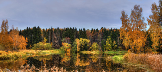 Panoramic landscape with forest lake in autumn