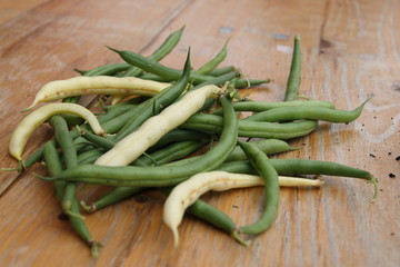 Buschbohnen