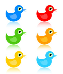 bird of duck