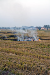 Fototapeta na wymiar fire in a field