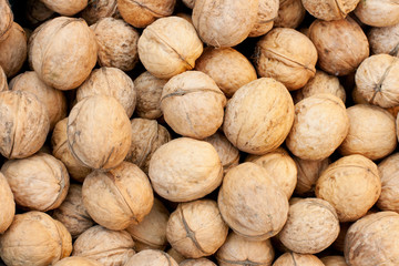 closeup of a walnuts