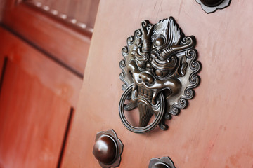 lion door lock