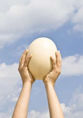 The egg of an ostrich on the background of the sky.