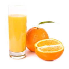 orange fruits with green leaves