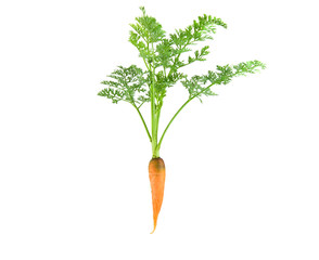 Obraz premium Carrot with leaf on white background