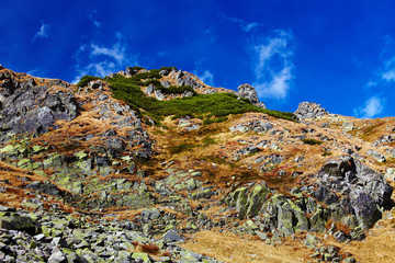 Fototapeta na wymiar Landscape with Parang mountains in Romania