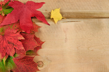 Naklejka na ściany i meble Vibrant Sezon jesień liści na tle drewna rustykalnym
