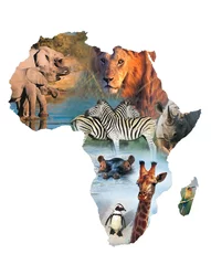 Washable wall murals Algeria africa collage