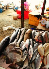 Il Mercato