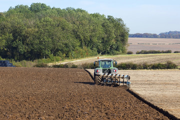Fototapeta premium agricultural scene