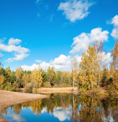 Autumn landscape at wood lake
