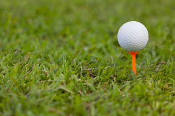 Golf ball on an orange tee