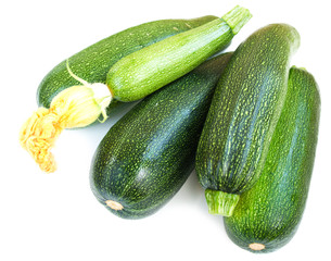 Marrows