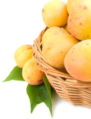 Apricots in the basket