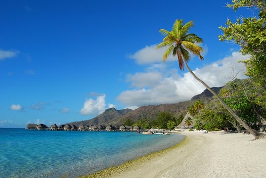 moorea - polinesia francese