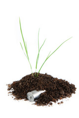 plant in the soil and battery