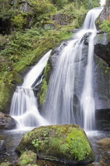 idyllic Triberg Waterfalls