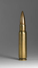 upright metallic ammunition in grey back