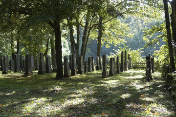 rows with old gravestones