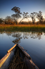 Okavango Delta - Botsuana / Botswana - Africa