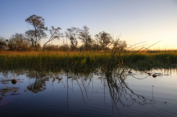 Okavango Delta - Botsuana / Botswana - Africa