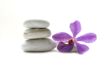 purple orchid and stacked of stones