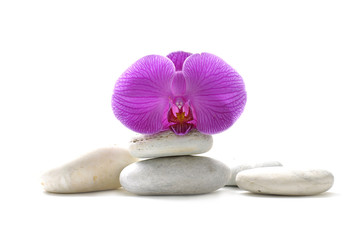 Fototapeta na wymiar Still life with macro of pink orchid with stones
