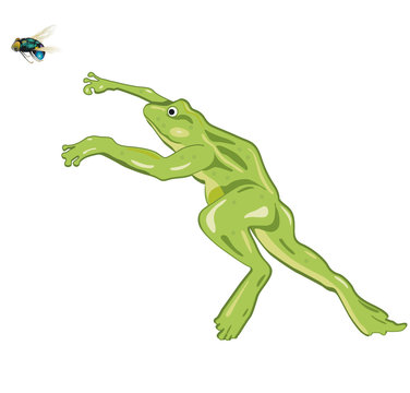 springender Frosch