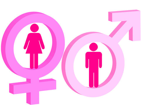 Maschio e femmina