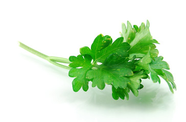 Obraz premium Fresh Parsley