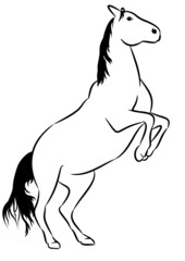 Obraz na płótnie Canvas Steigendes Pferd
