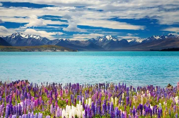 Gordijnen Lake Tekapo, Nieuw-Zeeland © Dmitry Pichugin