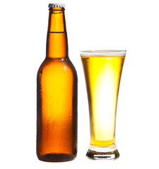 Beer isolated on white