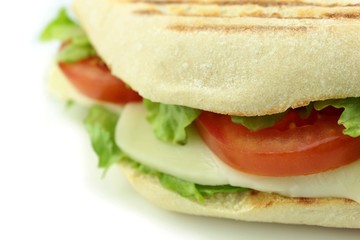 Sandwich on white background