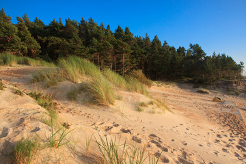 Dunes in Palanga