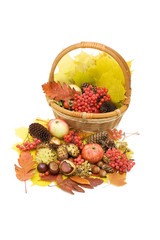 Fototapeta na wymiar Autumn leaves and fruits isolated