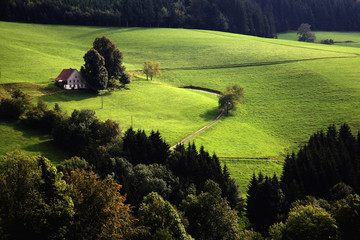 Einsames Haus bei St.Märgen im Schwarzwald