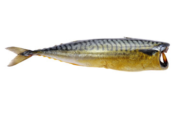 smoked mackerel on white background