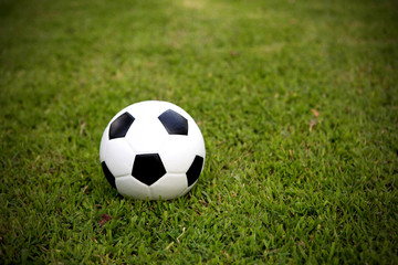 Football ball on grass