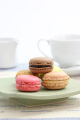 Macaron isolated in white background