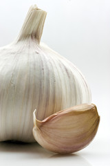 garlic,bulb.