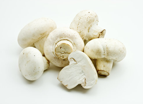 White mushrooms over white
