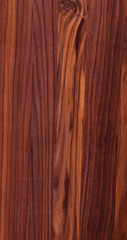 Fototapeta premium Natural wood texture