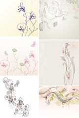 Set of flowers background  for your text.