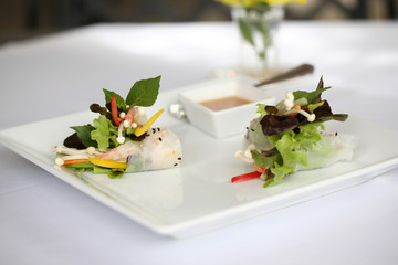 Spring Roll also known as Egg Roll