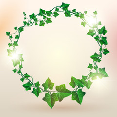 Beautiful Circle Decorated Ivy Leaf Illustration