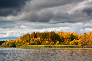 Forest island under the storm sky